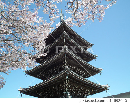 Gorin-ji Temple 14692440