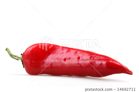 Red pepper on white background 14692711