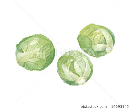 Brussels sprouts 14693545