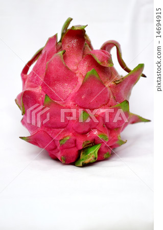Dragon Fruit Indonesia Dragon Fruit Indonesia 14694915