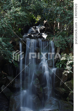 Masahito的瀑佈公園的人瀑布和周圍的山茶花 Masahito的瀑佈公園的人瀑布和周圍的山茶花 14694920