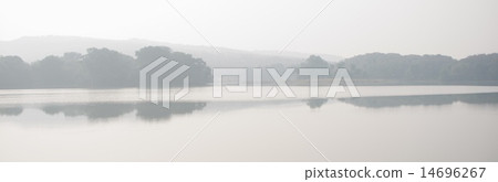 Panorama of lake and trees in mist 14696267