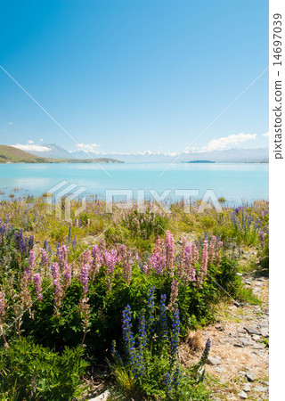 盧平和特卡波湖 14697039