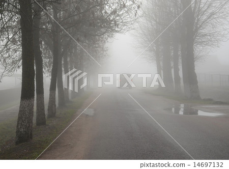 Thick shroud of fog in late autumn 14697132