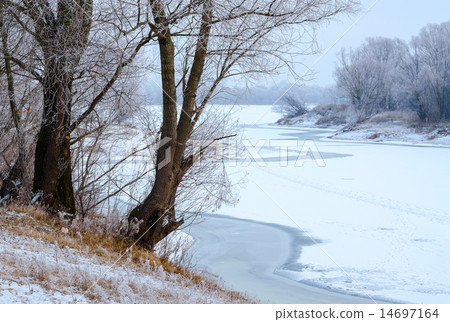 Trees in hoarfrost on the river bank 14697164
