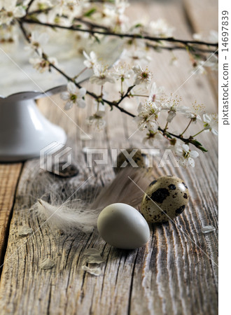 Easter still life with a flowering branch. 14697839