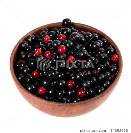 Blackcurrants and redcurrants in ceramic bowl Blackcurrants and redcurrants in ceramic bowl 14698616