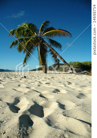 British Virgin Islands British Virgin Islands 14698754