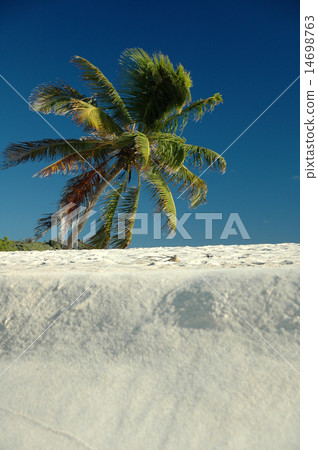 British Virgin Islands 14698763