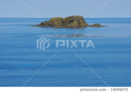 View of Cape Scoton 14699070