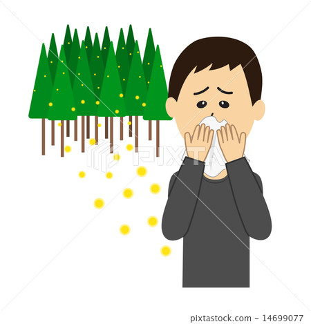 Young men with hay fever and cedar pollen runny nose 14699077