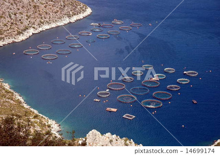 fish farm in greece 14699174
