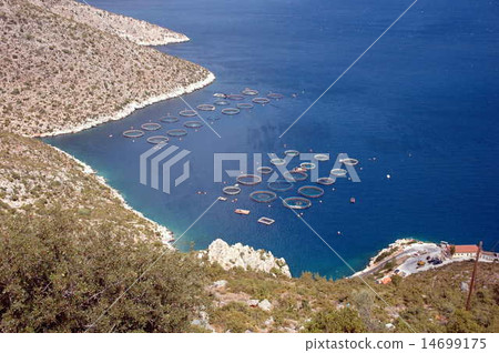 fish farm in greece fish farm in greece 14699175
