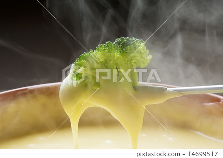 cheese fondue  14699517
