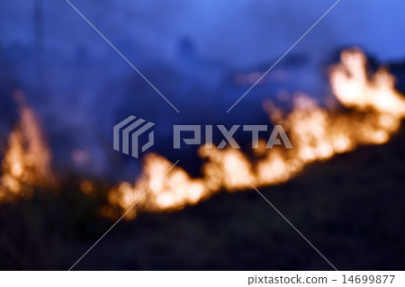 Blur background fire burning Blur background fire burning 14699877