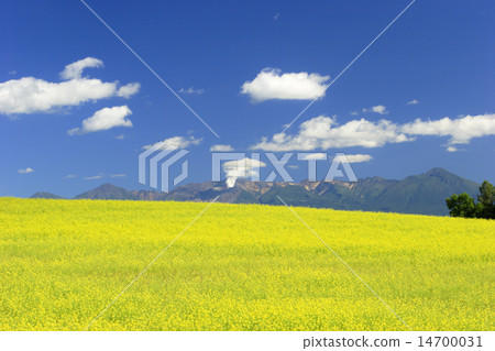 東東東東東東東東東 14700031