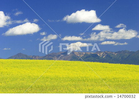 東東東東東東東東東 14700032