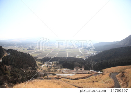 阿蘇牛奶路 14700397