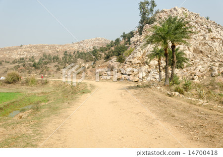 印度菩薩Gaya Sujata在去Masansei的途中 14700418