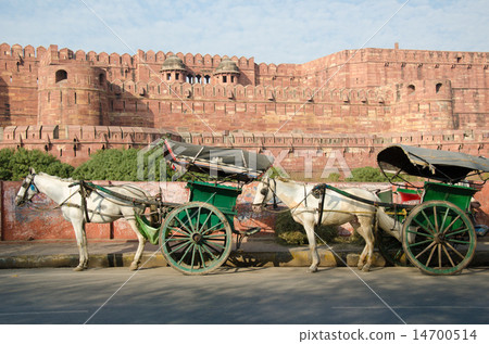Indian Argel castle and horse-drawn carriage Indian Argel castle and horse-drawn carriage 14700514