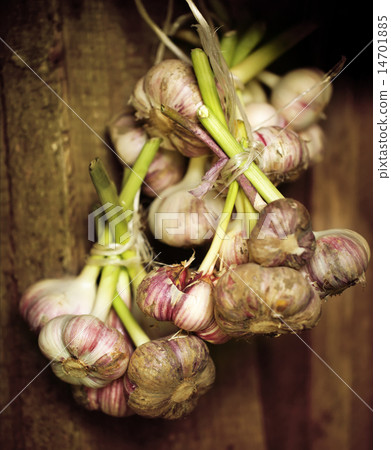 Fresh garlic in bunch Fresh garlic in bunch 14701885