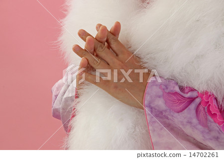 Kimono Kimono 14702261