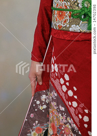 Kimono 14702398