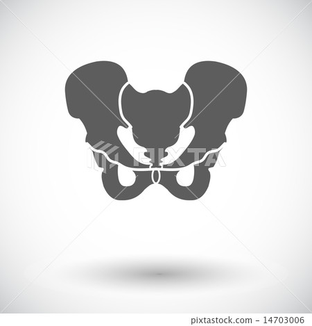 Pelvis 14703006
