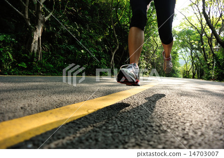 fitness woman running at forest road 14703007