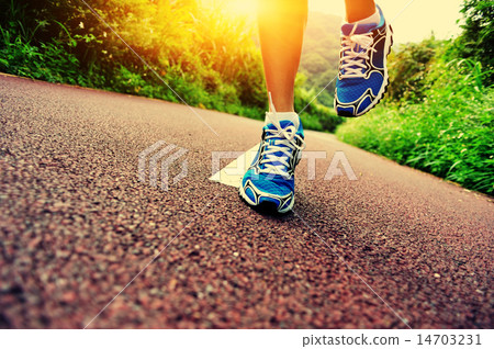 young fitness woman runner legs running at forest  14703231