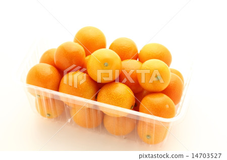 Kim Cit Itself Kim Cit Itself 14703527