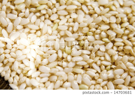 Germinated brown rice 14703681