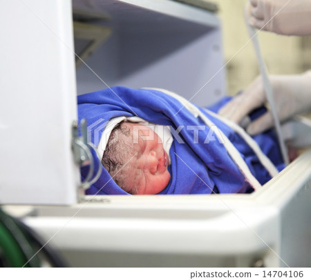 Cute newborn baby in incubator in hospital 14704106