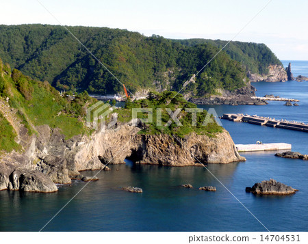 Bear's nose 14704531