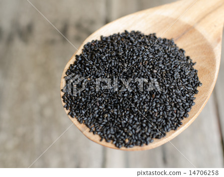Black Sweet Basil seeds on wooden paddle 14706258