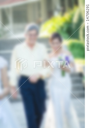 Wedding style abstract blur background bride Wedding style abstract blur background bride 14706291