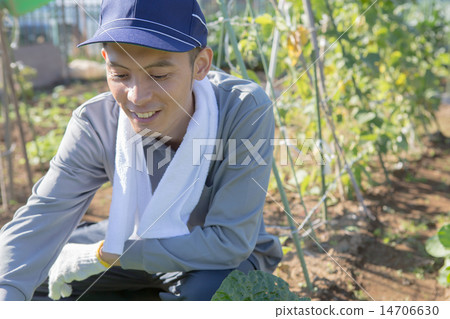field work, farmer, gents 14706630