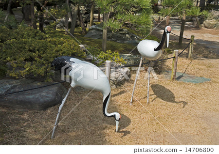 老小澤家庭院 老小澤家庭院 14706800