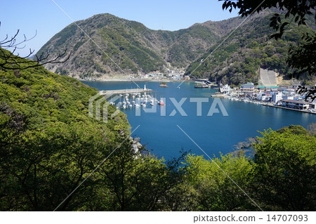 三月風景·西伊豆32愛麗絲港 三月風景·西伊豆32愛麗絲港 14707093