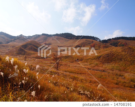 托峰高原 托峰高原 14708191