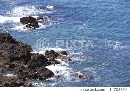 珊瑚礁和日本海 珊瑚礁和日本海 14708294