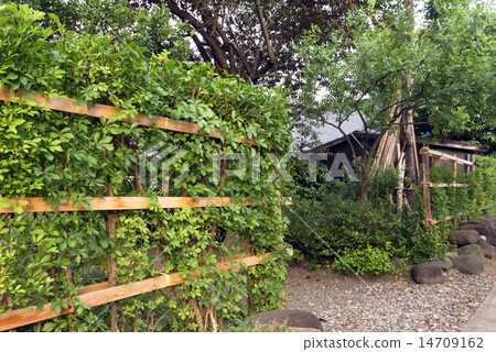 A fence of a wedge A fence of a wedge 14709162