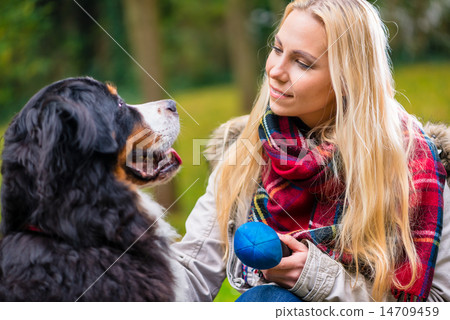Woman playing with her dog and toy in autumn park 14709459