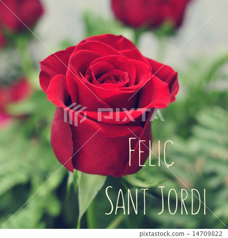 text Felic Sant Jordi, Happy Saint Georges Day text Felic Sant Jordi, Happy Saint Georges Day 14709822