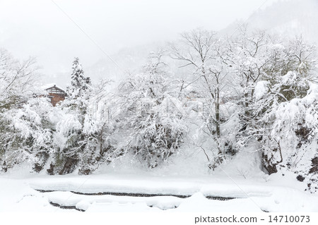 Shirakawago Japan Winter 14710073