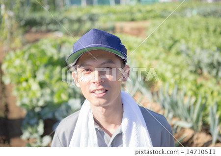 野外工作 農業 蔬菜栽培 14710511