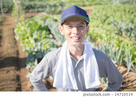field work, gents, male 14710514