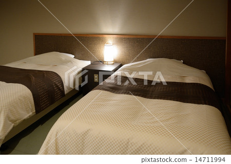 Hotel twin room 14711994