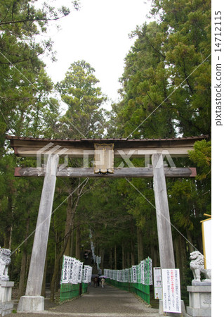 Torii of Kumano Honen Palace Taisei Torii of Kumano Honen Palace Taisei 14712115