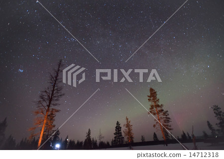  Aurora 14712318